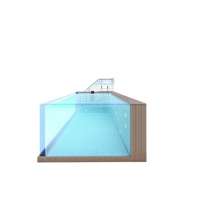 Sports familiaux Piscine au-dessus du sol avec fenêtre en panneau acrylique et construction en acier inoxydable