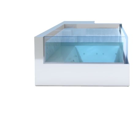 Améliorez votre expérience aquatique avec un conteneur en acier inoxydable rectangulaire