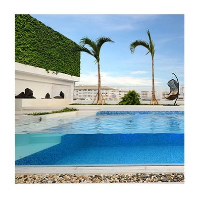 Panneaux de clôture de piscine en plexiglas acrylique pour enceinte de piscine résistante à la pression