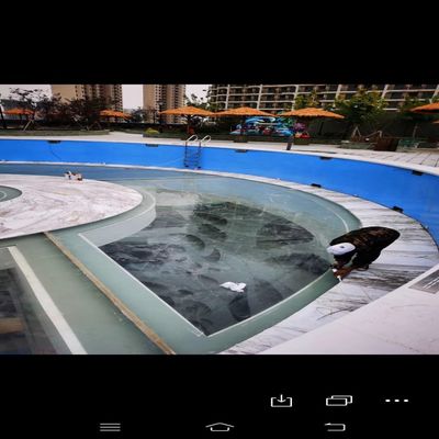 Piscine en polyester extérieur à paroi transparente et transparente pour le plaisir de la famille
