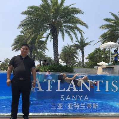 Transmission de haute luminosité de diaphaneité Université personnalisée au-dessus de la piscine au sol