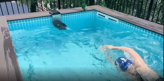 Une piscine préfabriquée de luxe avec un design moderne et un matériau acrylique lucite