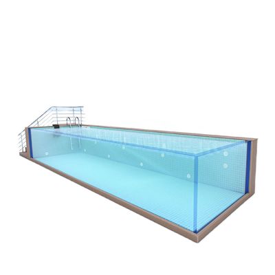 Sports familiaux Piscine au-dessus du sol avec fenêtre en panneau acrylique et construction en acier inoxydable