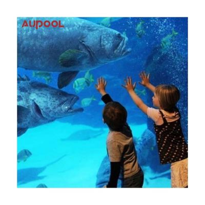 Design de mode piscine en PVC adulte enfants durable gonflable cadre acrylique piscine
