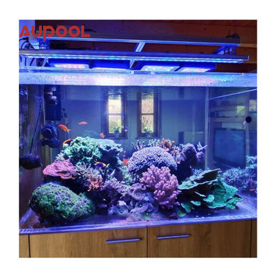 La plaque acrylique personnalisée pour le mur de la piscine demande du client en 65mm 75mm 80mm 90mm 100mm