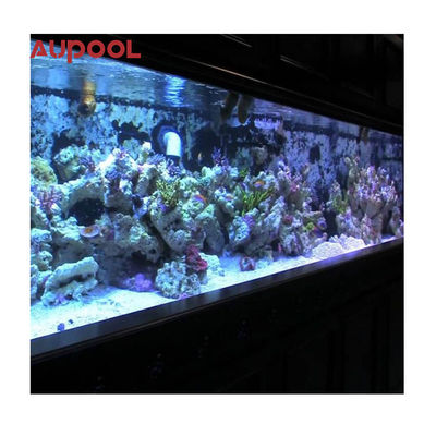 Piscine acrylique transparente de 60 à 80 mm avec mur acrylique avec eau cristalline