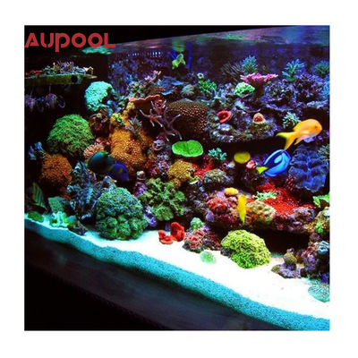Piscine acrylique transparente de 60 à 80 mm avec mur acrylique avec eau cristalline