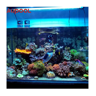 Facile à installer 36 niveaux réglable piscine murale avec piscine murale acrylique machine à jet d'eau