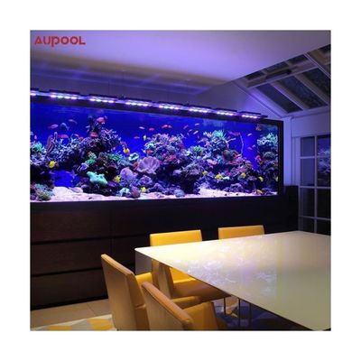 Piscine extérieure et plongée avec 100% acrylique lucite pur par Sublue Dive Pools