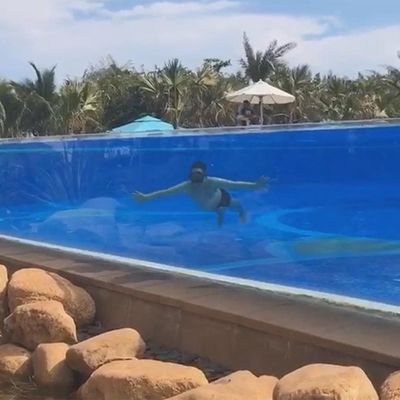 Villa de piscine extérieure avec panneau transparent à 4 côtés et matériau acrylique